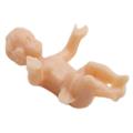 BAMBINO PLASTICA MM.17 830 CARNE